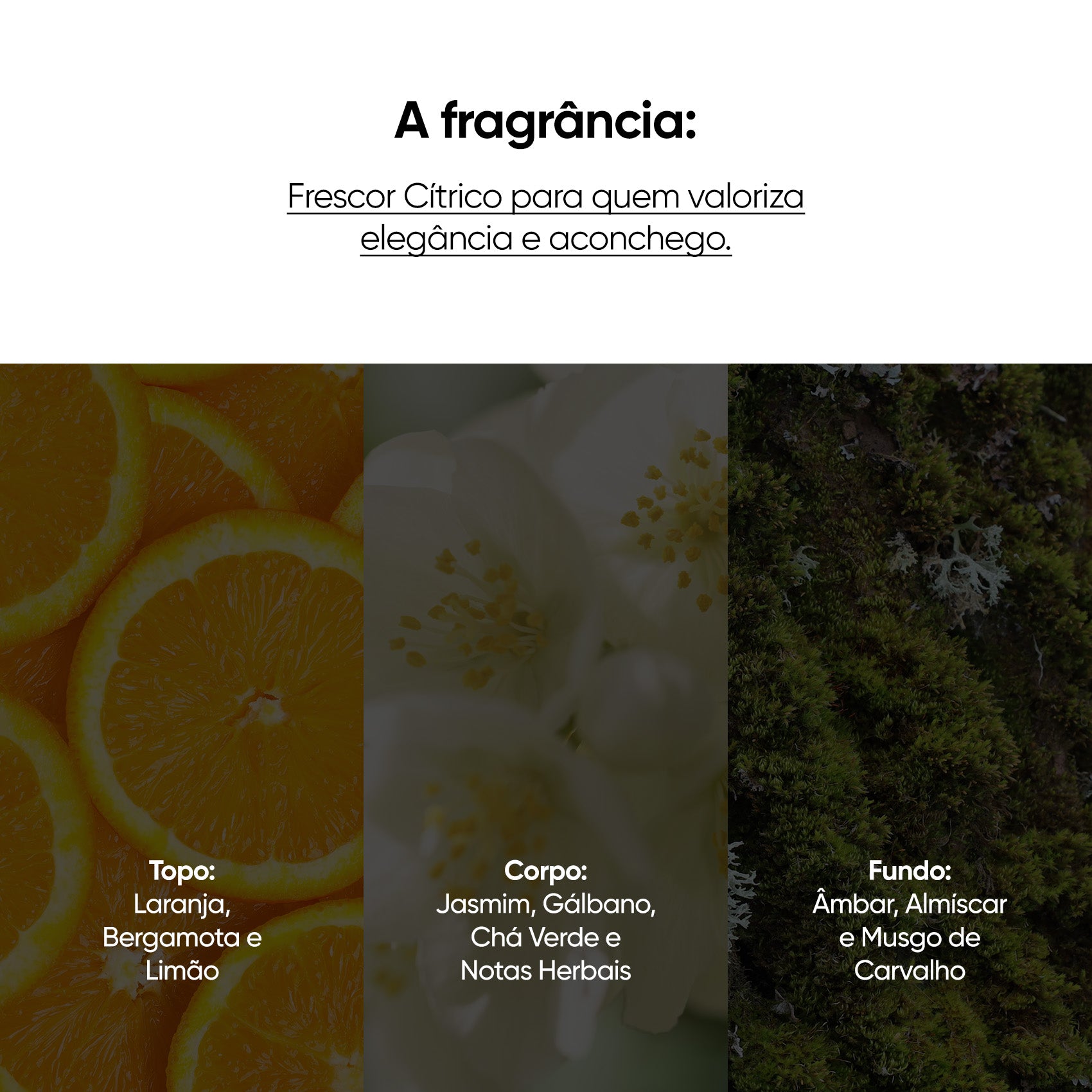 Dupla Corporal Breezy Flow - BEYOUNG_1_1_ 36258568